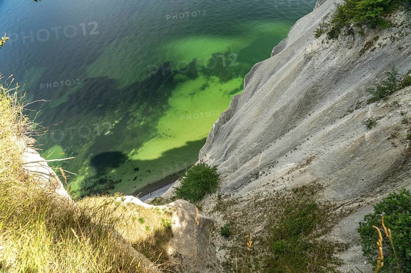 Cliffs and chalk cliffs Møns Klint, Mön Island, Denmark, Europe