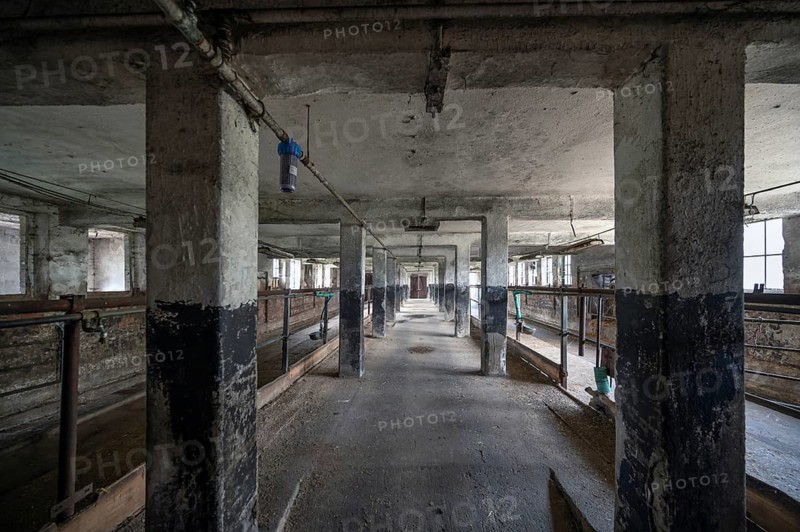Empty cowshed of a former LPG of the GDR, Mecklenburg-Vorpommern, Germany, Europe