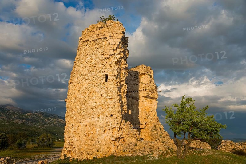 Stone ruin and lonely tree under a cloudy sky in the late afternoon, Vecka kula, Vecka Kula, Starigrad, Starigrad-Paklenica, Zadar, Croatia, Europe