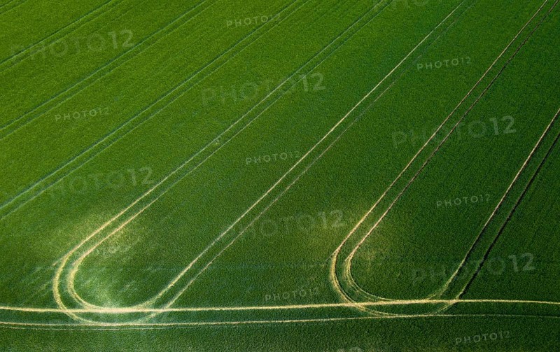 Drone image, grain field with lanes on the field, from above, agriculture, Innviertel, Upper Austria, Austria, Europe