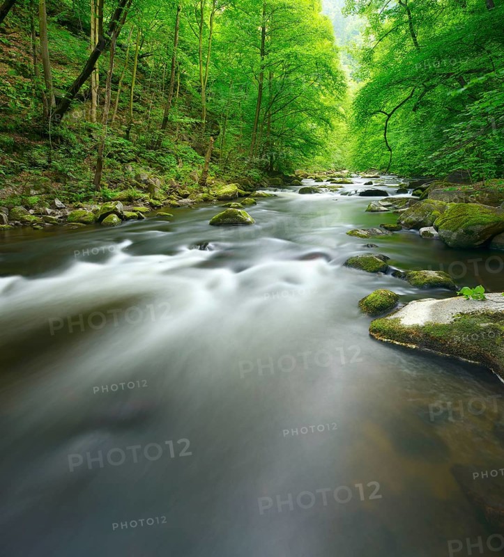 The River Bode with rapids and boulders in the Bode Valley between Thale and Treseburg, Harz Mountains, Saxony-Anhalt, Germany, Europe