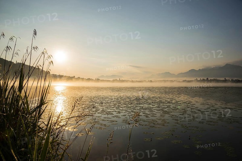 Sunrise, Hopfensee, near Fuessen, Ostallgaeu, Allgaeu, Upper Swabia, Swabia, Bavaria, Germany, Europe