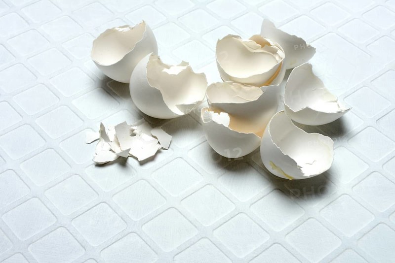 Broken eggshells on a light-coloured background