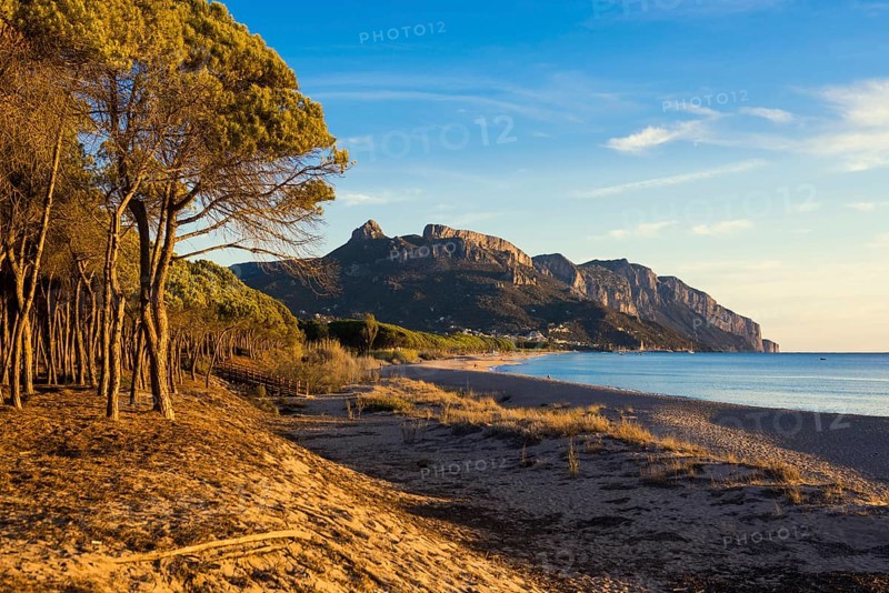 Lonely sandy beach and pine forest, Spiaggia di Isula Manna, sunrise, Santa Maria Navarrese, Gulf of Orosei National Park, Baunei, Nuoro, Sardinia, Italy, Europe