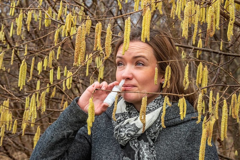 Young Caucasian woman with allergy problem stands by flowering hazel bush and sprays her nose in Ystad, Skåne County, Sweden, Scandinavia, Europe