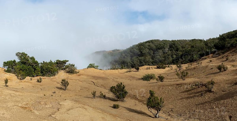 Clouds of fog, yellow earth, erosion, near Arguamul, La Gomera, Canary Islands, Spain, Europe