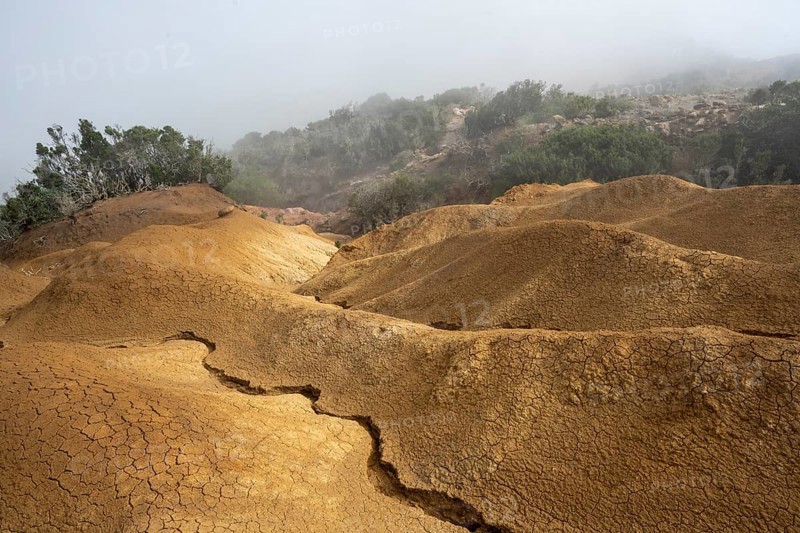 Clouds of fog, yellow earth, erosion, near Arguamul, La Gomera, Canary Islands, Spain, Europe