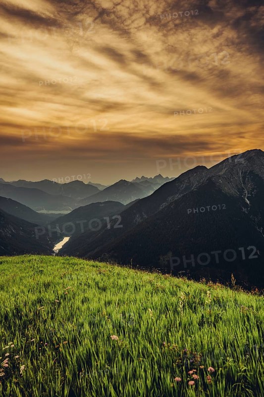 Hiking tour on the Hönig mountain in the Lechtal valley near Berwang in Tyrol, Austria, Europe