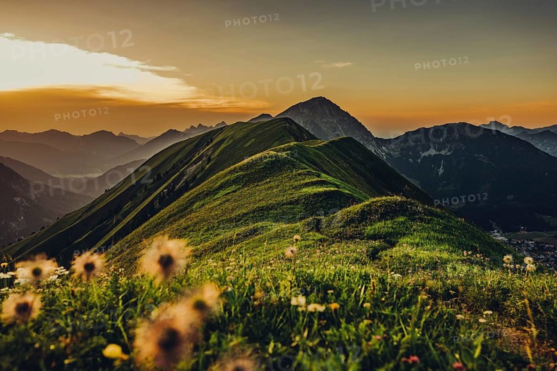 Hiking tour on the Hönig mountain in the Lechtal valley near Berwang in Tyrol, Austria, Europe