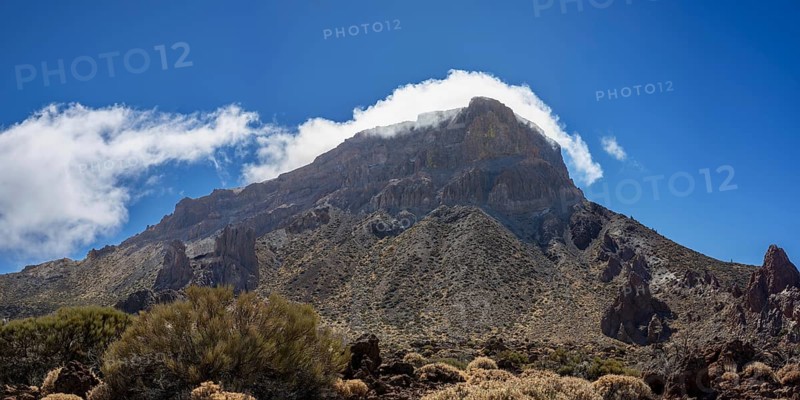 Faded Teide gorse and the summit of Montaña Guajara, also: Alto de Guajara, 2715m, crater walls, Caldera de las Cañadas, a huge volcanic cauldron, Teide National Park, Parque Nacional del Teide, Tenerife, Canary Islands, Spain, Europe
