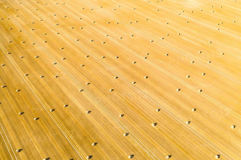 Straw bales on a harvested grain field from above, Nossen, Saxony, Germany, Europe