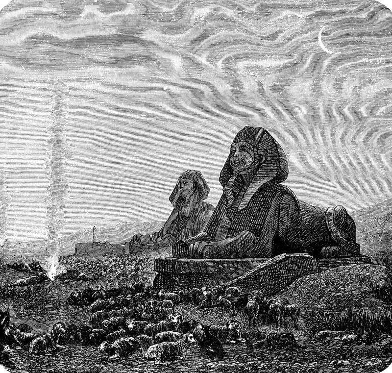 Great Sphinx of Giza, history of mankind, depiction of a lion with human head, erected in the 4th dynasty about 2500 BC, flock of sheep, Egyptology, excavation, archaeology, Africa, Egypt, historical illustration 1880, Africa