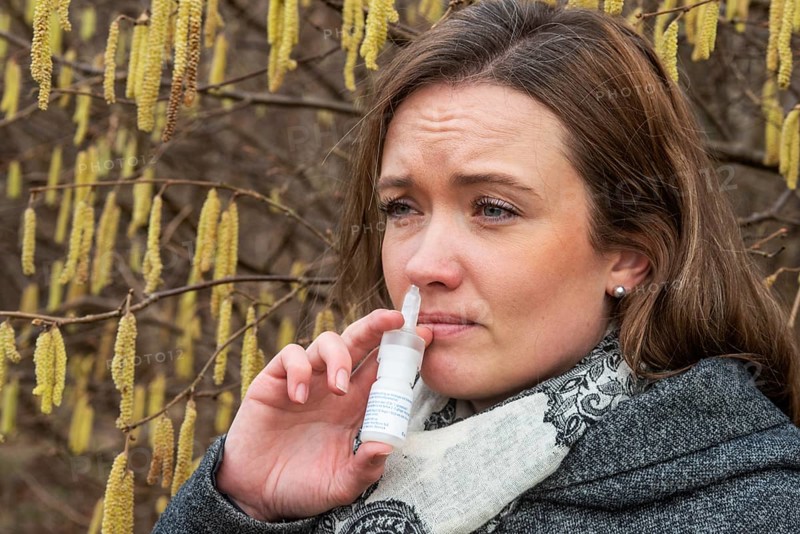 Young Caucasian woman with allergy problem stands by flowering hazel bush and sprays her nose in Ystad, Skåne County, Sweden, Scandinavia, Europe