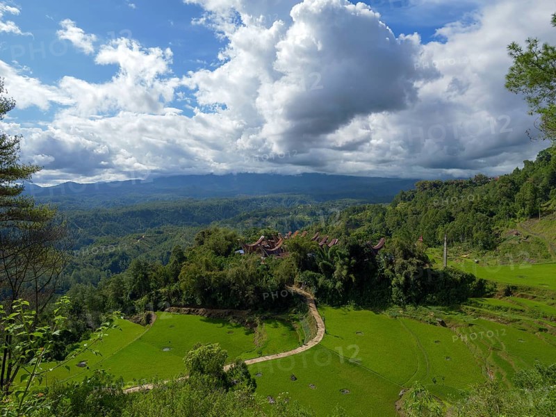 Rice fields, rice terraces, landscape near Limbong, Tana Toraja, Sulawesi, Indonesia, Asia