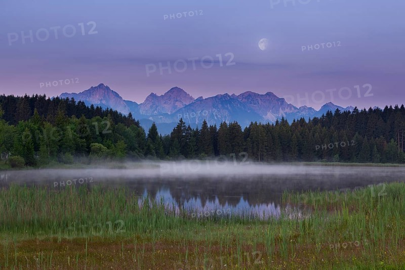 Idyllic lake at dusk with mountains and forests in the background, Hegratsrieder See, Ostallgäu, Allgäu, Swabia, Upper Bavaria, Bavaria, Germany, Europe