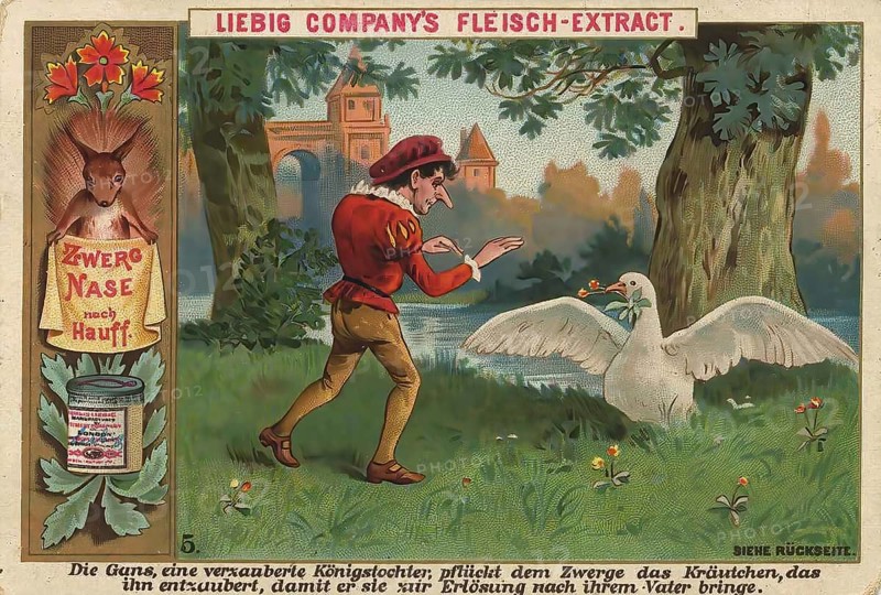 Picture series Dwarf Nose, 5, The goose, an enchanted princess, picks the herb that disenchants the dwarf so that he can take her to her father for redemption, Liebig picture, digitally restored reproduction of a collector's picture from around 1900, public domain, exact date unknown, An enchanted prince meets a goose in the forest in front of a royal castle