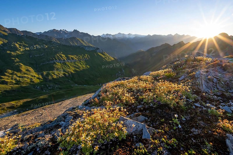 Mountain landscape with sun star, morning mood, view of the summit of the Großvenediger at sunrise, view from the Bachlenkenkopf, Lasörlinggruppe, Hohe Tauern National Park, Eastern Alps, East Tyrol, Austria, Europe