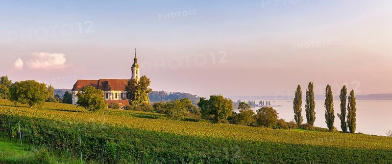 Baroque church with a view of the lake at sunset, surrounded by vineyards, Birnau pilgrimage church on Lake Constance, Uhldingen-Mühlhofen, Baden-Württemberg, Germany, Europe