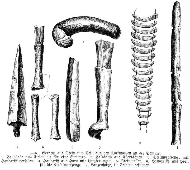 Various implements made of stone, bone, horn and animal teeth, Stone Age, geology, anthropology, France, Belgium, history of mankind, historical illustration 1880, Europe