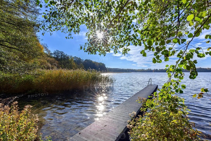 Wooden jetty at lake Schaalsee in autumn, fall, Biosphärenreservat Schaalsee, Schleswig-Holstein, Germany, Europe