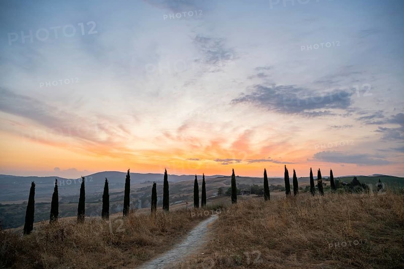 Typical Tuscan landscape in Crete Senesi with hills, trees, fields, cypresses and farm road in autumn, sunrise, Agriturismo Baccoleno, UNESCO World Heritage Site, Siena Province, Tuscany, Italy, Europe