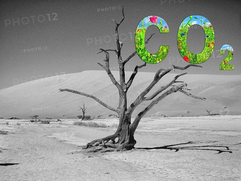 Symbolic image, carbon dioxide CO2, climate protection, climate change, world worth living in, nature conservation, biodiversity, species extinction, industrial emissions, ecosystem diversity, drought, heat, crop failures, drought disasters, famine worldwide, water shortages, floods, heat records, melting ice, desertification