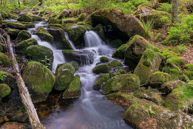 Kleine Ohe creek below Waldhaeuser village in the Bavarian Forest Nationalpark. Flowing water, little cascades, mossy stones and fresh green vegetation