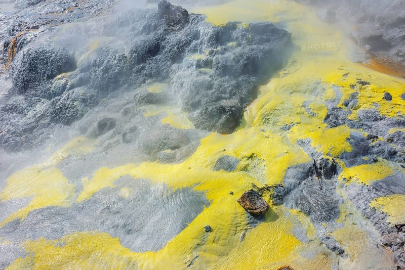 Volcanic terrain, Te Puia Thermal Valley, Rotorua, Bay of Plenty, North Island, New Zealand, Oceania