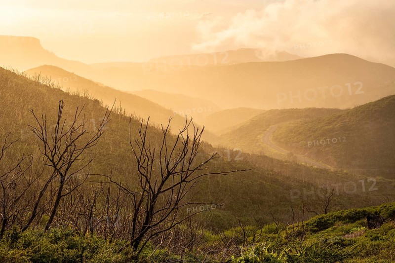 View from a path below the summit of Garajonay to other mountains in the Garajonay National Park. Rain, sun and golden hour with bright clouds. Parque Nacional de Garajonay, La Gomera, Canary Islands, Spain, Europe