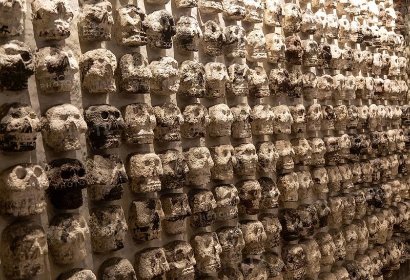 Wall of stone human skulls, archaeological site and museum of Templo Mayor, Mexico City, Mexico, Central America