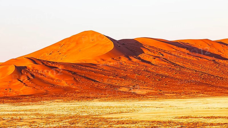 Wind-sculpted curved sand dunes in the evening light, in the Rub al Khali desert, Dhofar province, Arabian Peninsula, Sultanate of Oman