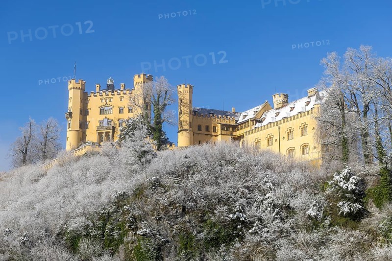 Picturesque yellow castle rises above a wintry landscape with snow-covered trees, Hohenschwangau Castle, Schwangau, Königswinkel, Ostallgäu, Allgäu, Swabia, Bavaria, Germany, Europe