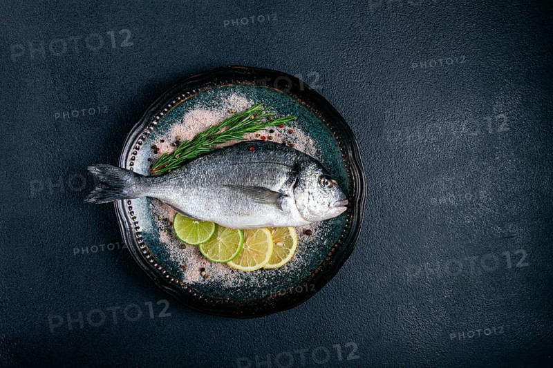 Fresh, raw dorado fish, on a dark blue background, top view, two pieces, no people