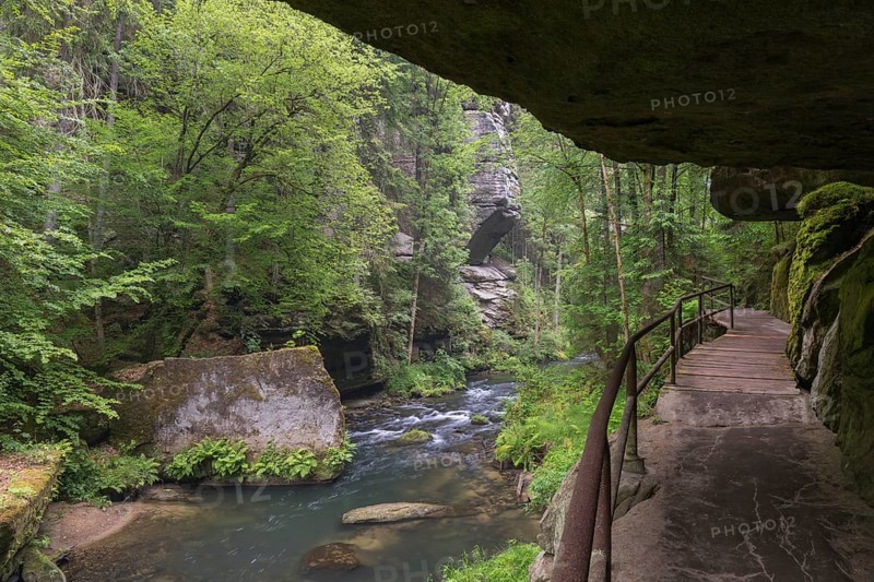 Hiking path in the Wild Gorge, river Kamnitz, Hrensko, Ustecky kraj, Czech Republic, Europe