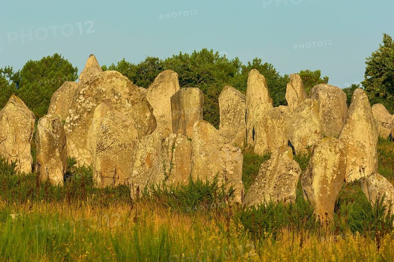 Neolithic menhirs, standing stones in Carnac with sunrise, Carnac, Quiberon, Morbihan, Brittany, France, Europe
