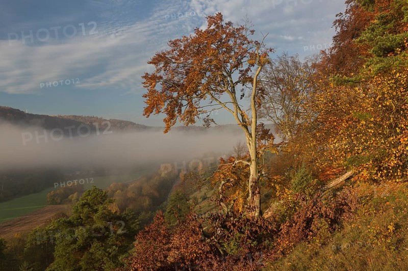 Sunrise close to the 12 Apostels rock formation in the Altmühl valley nature park close to Solnhofen in Bavaria, Germany. Some fog and trees in autumn colors
