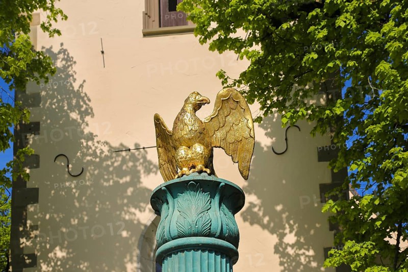 Fountain in front of the Protestant town church, green fountain with golden bird, detail, bird sculpture, Rosenfeld, Zollernalb district, Baden-Württemberg, Germany, Europe