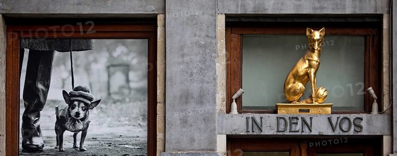 Baroque façade detail of the Guildhall In den Vox with photo exhibition by Elliott Erwitt, Grand-Place, Grote Markt, Brussels, Belgium, Europe