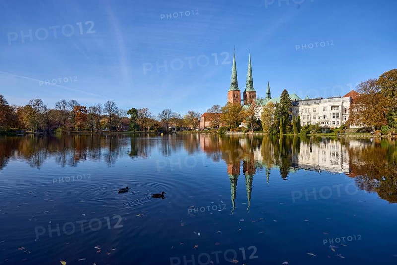 Mill pond with general buildings, Lübeck Cathedral, ducks and trees, symmetrical reflections on the water surface, Hanseatic City of Lübeck, independent city, Schleswig-Holstein, Germany, Europe