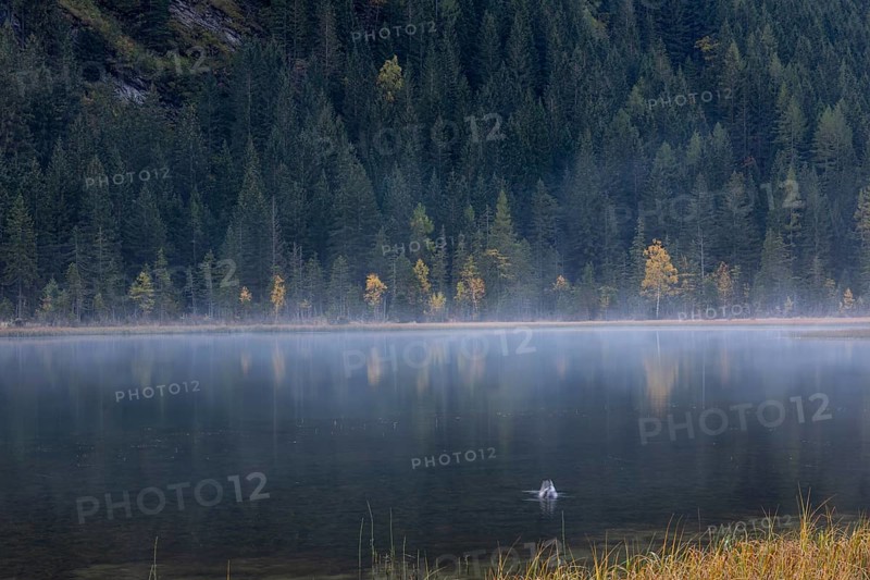Lake Stappitz in first morning light, Seebach valley, Mallnitz, Carinthia, Austria, Europe