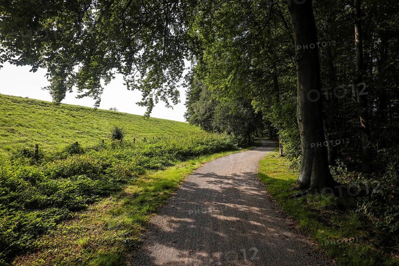 Bottrop, North Rhine-Westphalia, Germany - Emscher-Weg, cycle and footpath along the Emscher. The Emscher has been completely free of sewage since January 2022 following the construction of a parallel sewer. The river was previously an open, above-ground wastewater sewer, combined sewer with surface water and wastewater