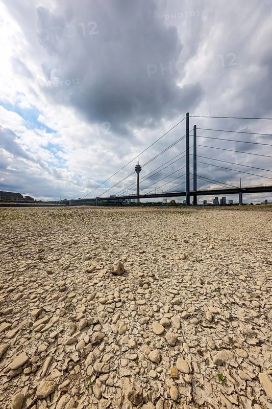 Düsseldorf, North Rhine-Westphalia, Germany, Dry riverbed in the Rhine in front of the Rheinkniebrücke and Rheinturm. After a long dry spell, the level of the Rhine fell to 71 cm today. Skippers speak of small water at this level, Europe