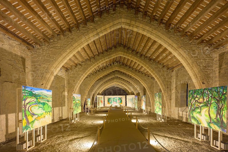 Painting exhibition at the Sainte Marie Abbey in Lagrasse, Département Aude, France, Europe