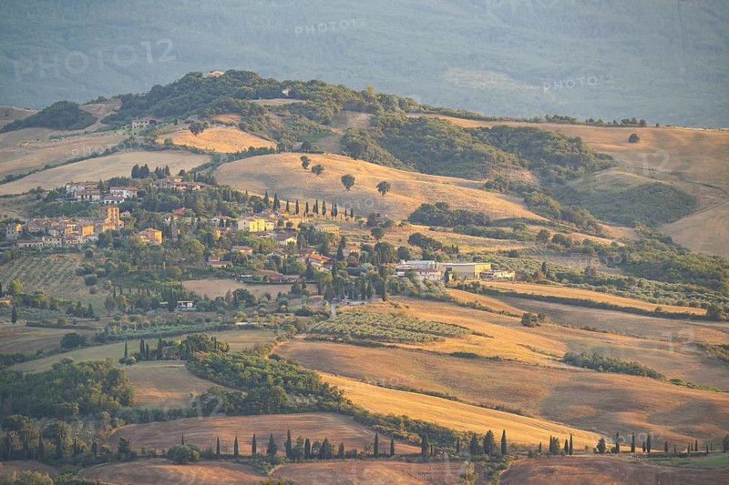 Typical Tuscan landscape in Val d'Orcia with hills, trees, fields, cypresses in autumn at sunset, near La Foce, Tuscany, Italy, Europe