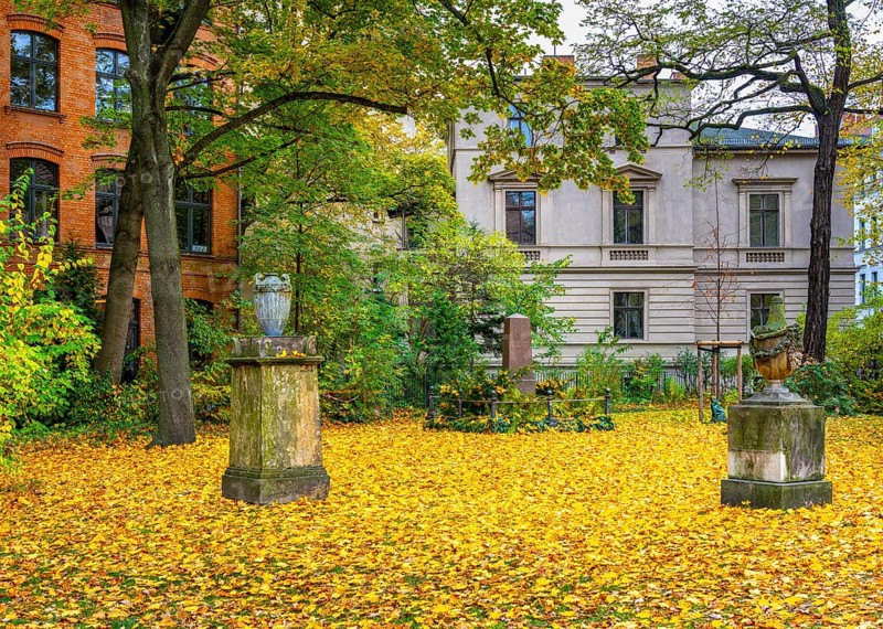 Autumn in the city, residential buildings on the grounds of the Sophienkirche in Berlin-Mitte, Germany, Europe