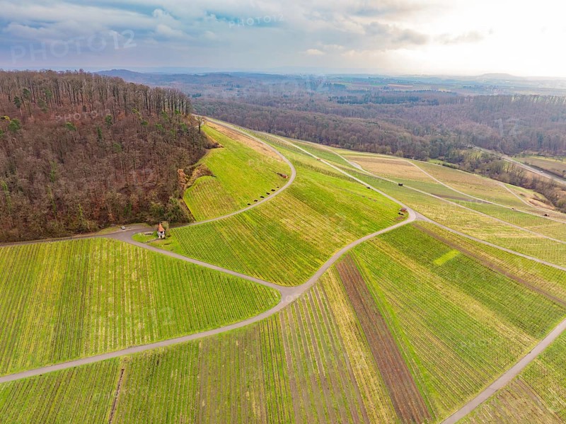 Landscape with green fields, hills and forests, criss-crossed by roads, Großbottwar, Ludwigsburg district, Baden-Württemberg, Germany, Europe
