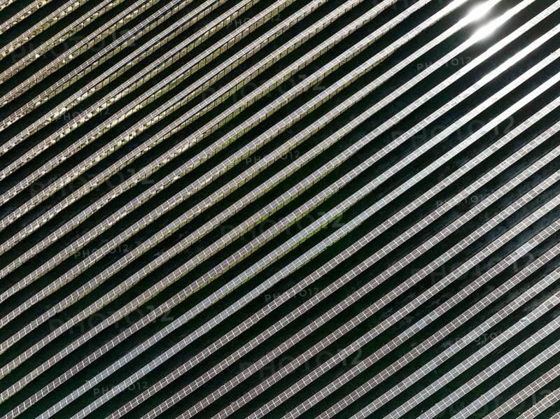 Rows of solar panels at a photovoltaic plant near the town of Espejo. Aerial view. Drone shot. Córdoba province, Andalucía, Spain, Europe