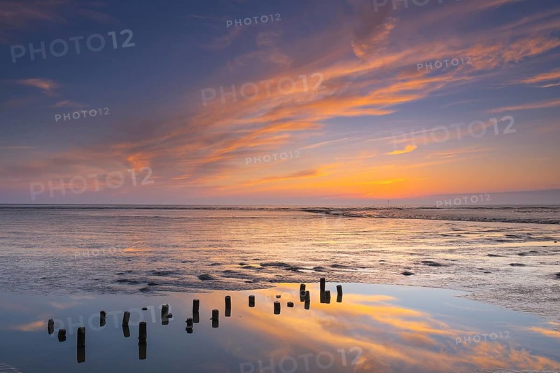 View of a tidal flat in the Wadden Sea at low tide at sunset, National Park, Unesco, World Natural Heritage, World Heritage, Lower Saxony, Wadden Sea, Cuxhaven, Lower Saxony, Germany, Europe