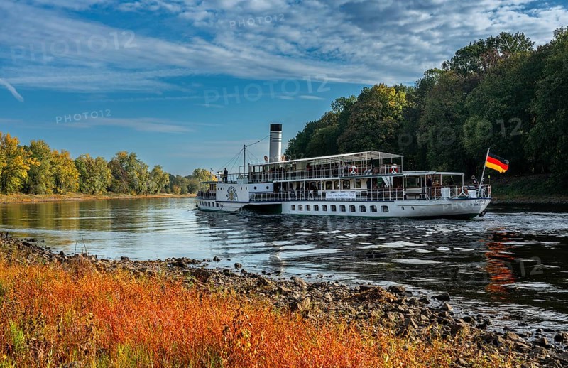 Paddle steamer on the Elbe near Pillnitz, Saxony, Germany, Europe