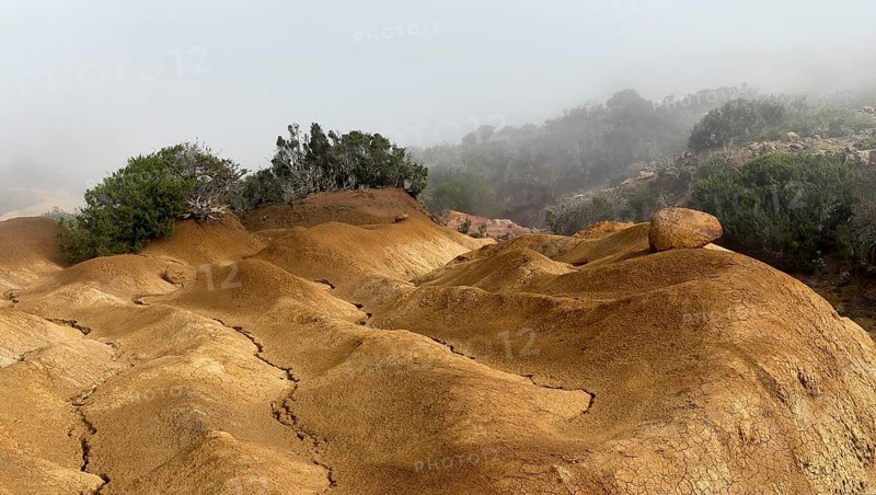 Yellow soil and rocks, erosion, near Arguamul, La Gomera, Canary Islands, Spain, Europe